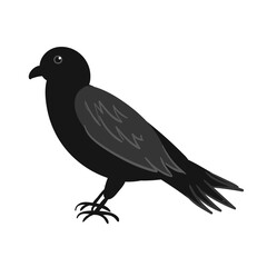 Raven Bird