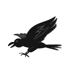 Raven Bird