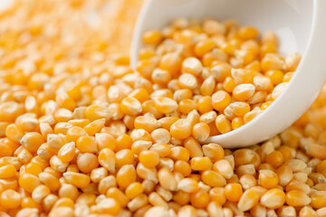 Dried corn grains