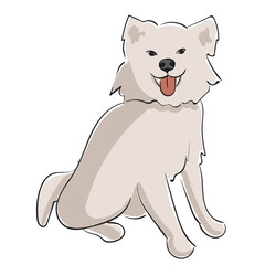 Dog Breed american eskimo