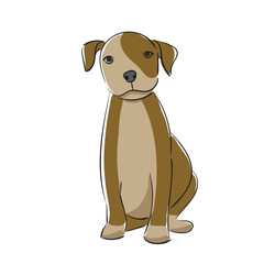 Dog Breed American Boston Bull Terrier