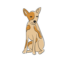 Dog Breed american hairless terrier