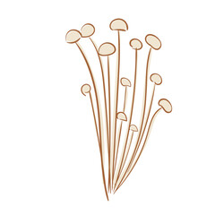 Hand Drawn Enoki Mushrooms