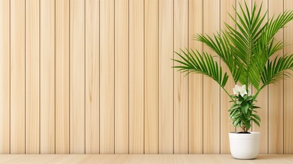 A lush palm plant in a white pot brings a touch of nature to a minimalist interior, set against a warm wooden backdrop illuminated by natural light