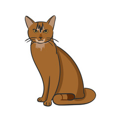 Hand Drawn Cat Breed Abyssinian