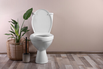 White toilet bowl and houseplant near beige wall indoors, space for text