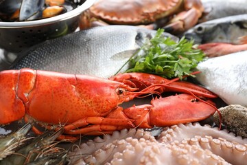 Many different sea food and parsley on table, closeup