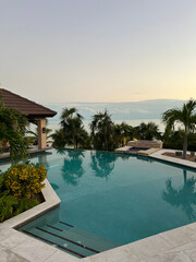 Pool Island Palm Trees
