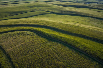 Obraz premium a aerial view editorial photo of a vast, undulating grassland with subtle variations in colour and texture, resembling a soft fabric