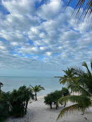 Cloudy Beach Palm Trees