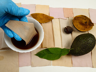 Bowl of avocado peel and pit decoction, avocado fruit, dried peel, branch with avocado leaves for...