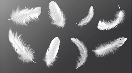 Obraz premium Set of different falling fluffy twirled feather