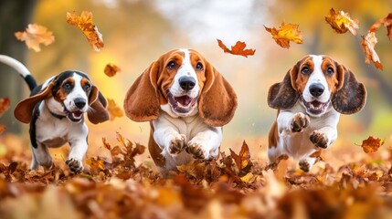 Three dogs are running through a pile of leaves