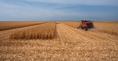 Obraz premium Combine harvester working in a corn field