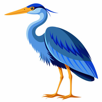 recommend clip art: Blue heron vector illustration isolated on white background 