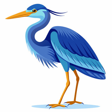 recommend clip art: Blue heron vector illustration isolated on white background 