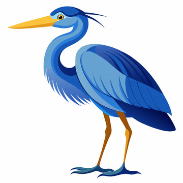 recommend clip art: Blue heron vector illustration isolated on white background 