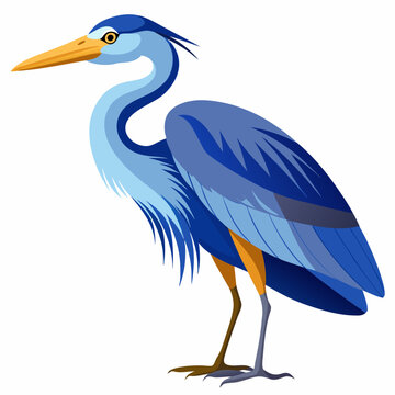 recommend clip art: Blue heron vector illustration isolated on white background 