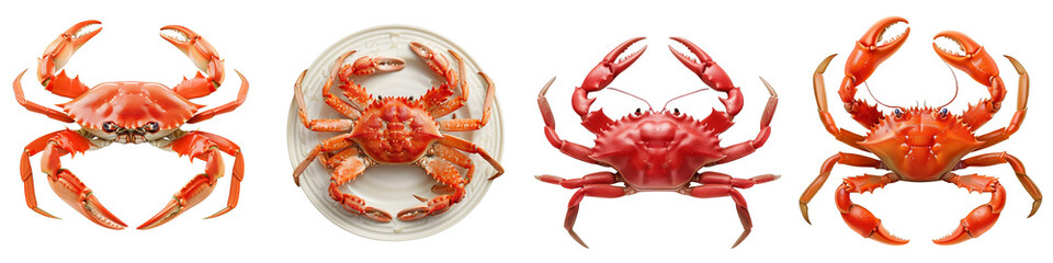 Kani clipart collection, symbol, logos, icons isolated on transparent background