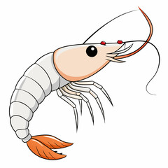 Pacific White Shrimp art vector