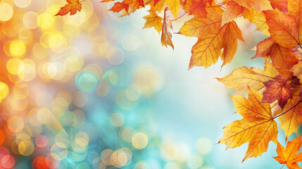 Obraz premium Fall foliage against a bright blue sky and glowing sunlight