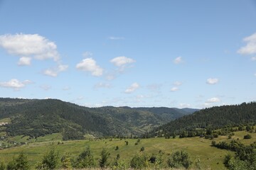 Green forest in mountains under blue sky