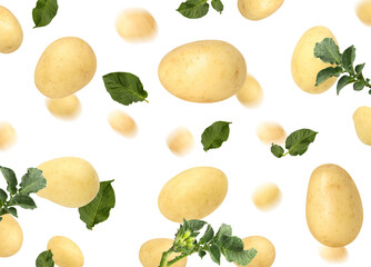 Fresh potatoes and green leaves in air on white background