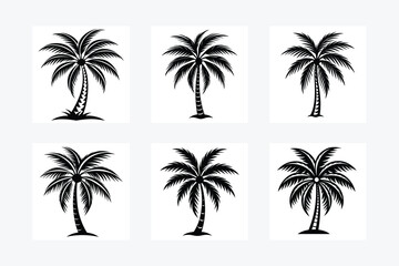 coconut tree vector illustration design