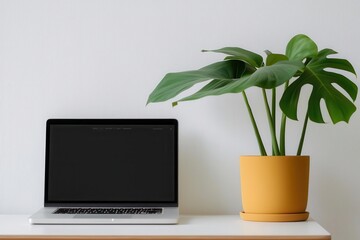 Custom website development tailored to your brand, featuring unique layouts and personalized content, website development, custom web solutions