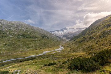 landscape in the summer