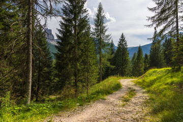 Hiking near Cortina d'Ampezzo - Italy