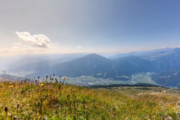 Fototapeta premium landscape in the summer