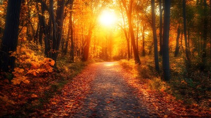 A tranquil forest path covered in vibrant autumn leaves where the golden light filters through the trees and the peacefulness of the setting provides a perfect escape for hikers