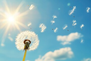 Fototapeta premium Dandelion Seeds Blowing In The Wind With Blue Sky And Sunlight - Make A Wish Concept with generative ai