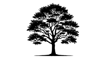 Maple tree silhouette vector illustration.