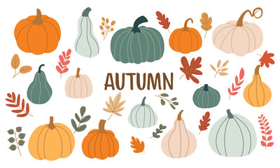 Autumn vector set of colorful various pumpkins, leaves, plants in flat style.