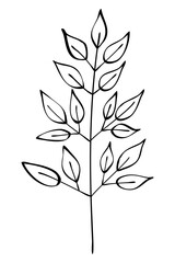 Autumn summer spring twig sprout plant with ordinary leaves drawn with black line contour for decorative pattern. Flat doodle style. Vector illustration.