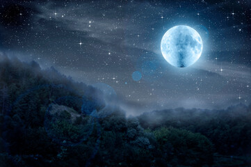 Curtains Moon and dark starry sky in the silhouette of the forest. Fog is rising over the night forest. Halloween background