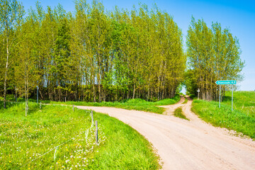 Rural road in farming landscape with green meadows full of spring flowers, Suwalski Landscape Park, Podlasie, Poland