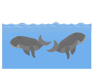 Dugong on a white background.