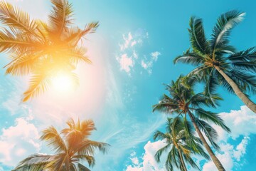Palm Trees Against a Sunny Sky