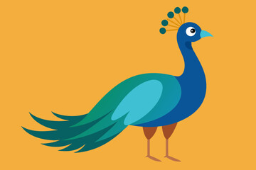 Cute bird peafowl vector art illustration