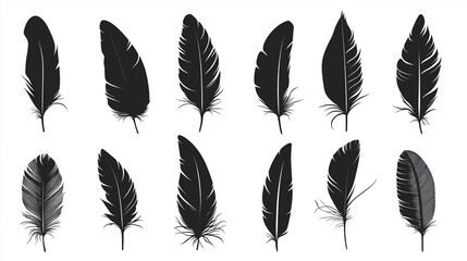 Black feathers icons set. Isolated dark feather, bird plumage. Decorative clipart of boho, wildlife, hand made. Wild nature, writing vintage tool