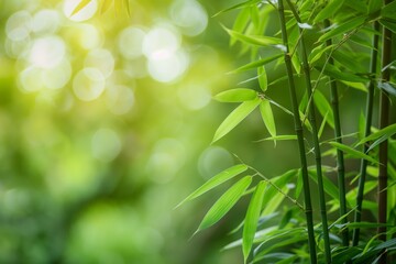 A bunch of green bamboo leaves are in a field