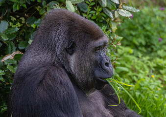 A great day in Cabarceno Park, with animals in semi-freedom!