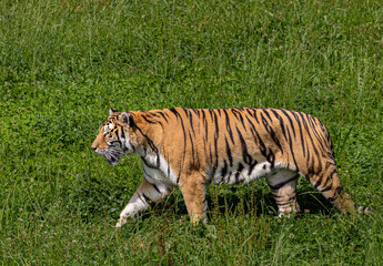 A great day in Cabarceno Park, with animals in semi-freedom!