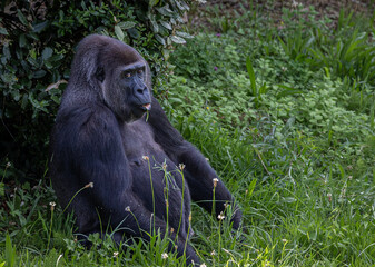 A great day in Cabarceno Park, with animals in semi-freedom!