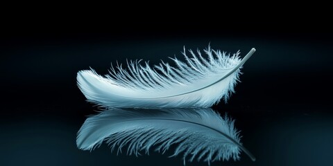 Obraz premium A delicate feather gracefully floating in the air, captured with perfect symmetry on a dark background, Feather, Delicate, Floating