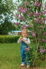 A charming child girl toddler touches lilacs in a green summer park.