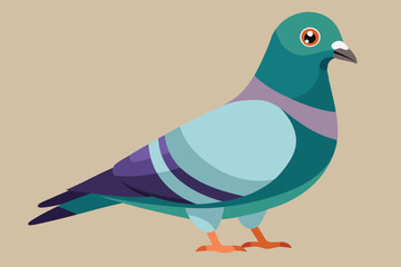 Cute bird pigeon vector art illustration